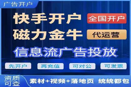 SEM代理助力品牌：案例解析与优化策略